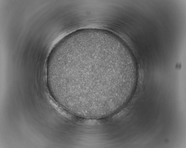 X0000113980982200910231704