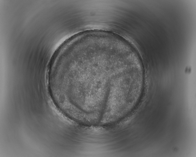 X0000113980983200910231704