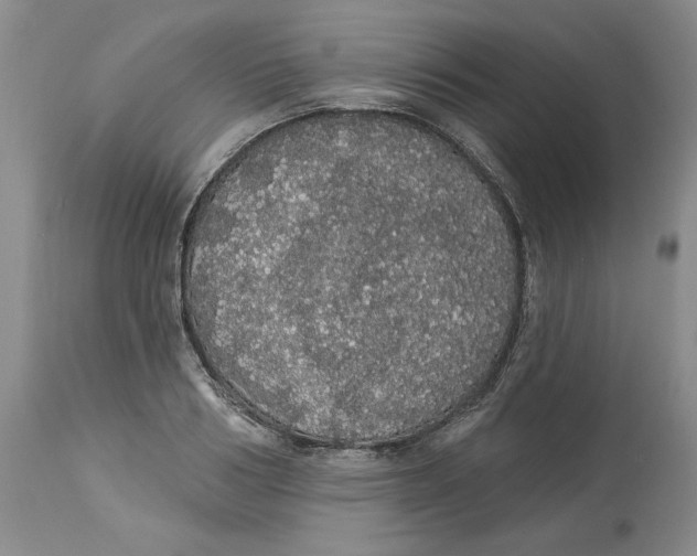 X0000113980986200910231704