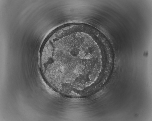 X0000113980988200910231704