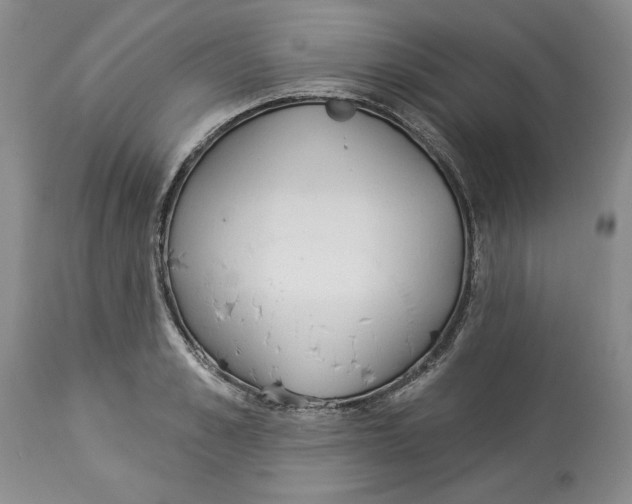 X0000113980989200910231704