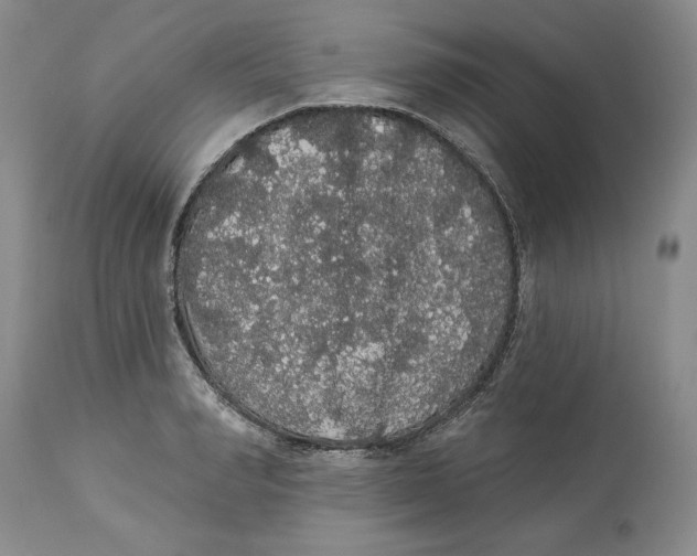 X0000113980990200910231704