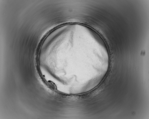 X0000113980991200910231704