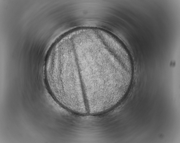 X0000113980992200910231704