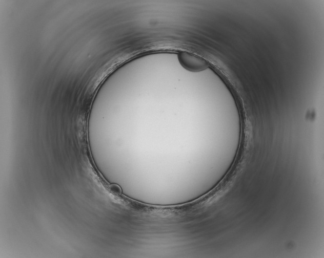 X0000113980993200910231704