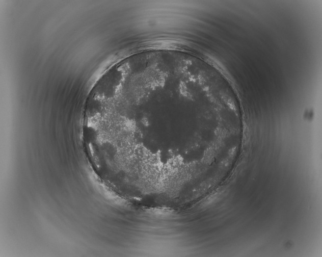 X0000113980994200910231704