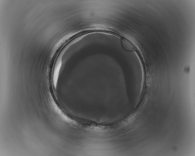 X0000113980995200910231704