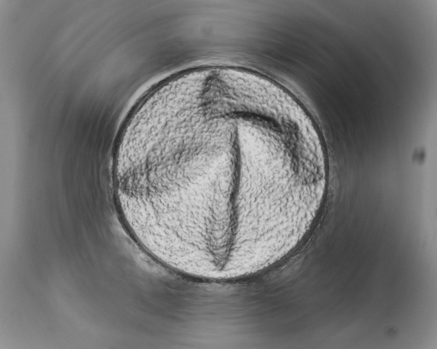 X0000113980996200910231704