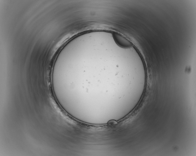 X0000113980997200910231704