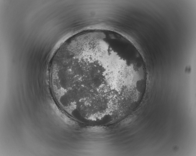 X0000113980998200910231704