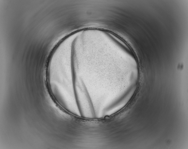 X0000113980999200910231704