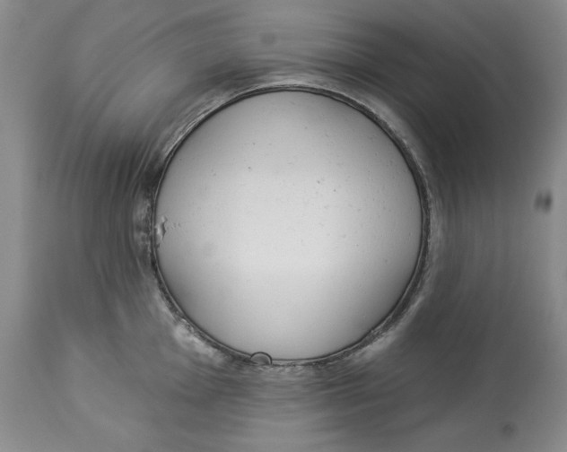 X0000113981001200910231704