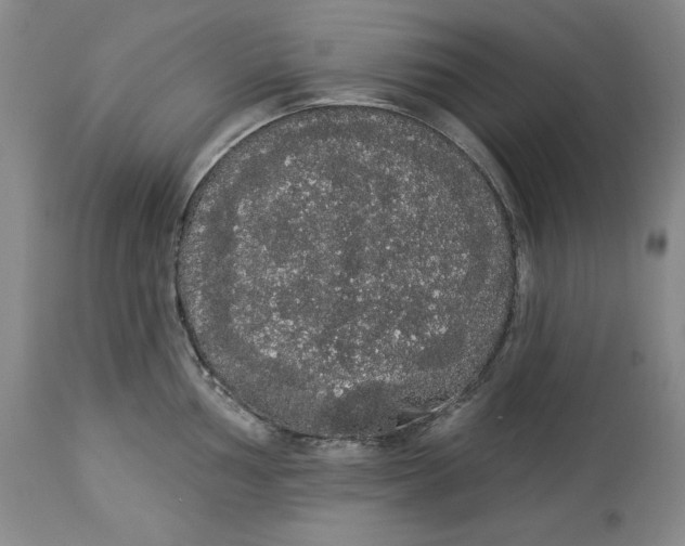 X0000113981002200910231704