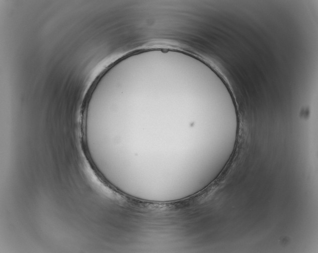 X0000113981003200910231704