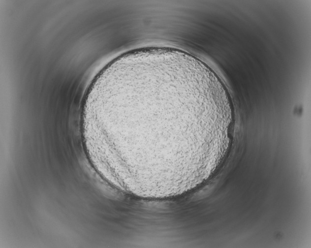 X0000113981004200910231704