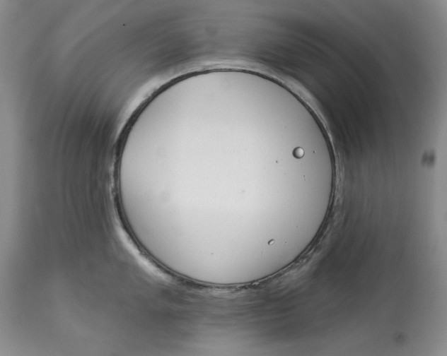 X0000113981005200910231704