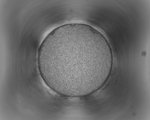 X0000113981006200910231704