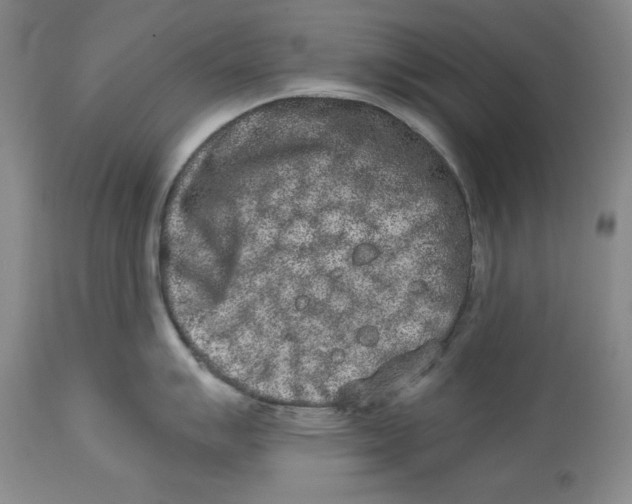 X0000113981007200910231704