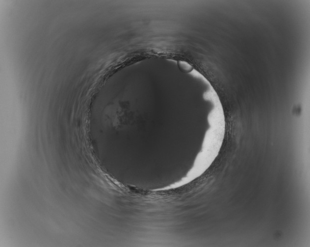 X0000113981009200910231703