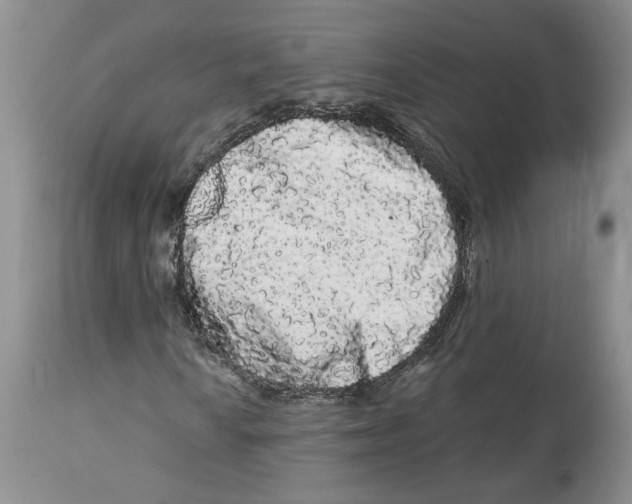 X0000113981010200910231703