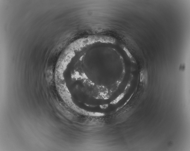 X0000113981011200910231703