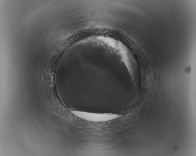 X0000113981013200910231703