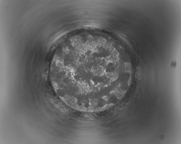 X0000113981015200910231703