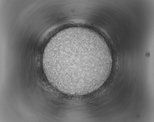 X0000113981016200910231703