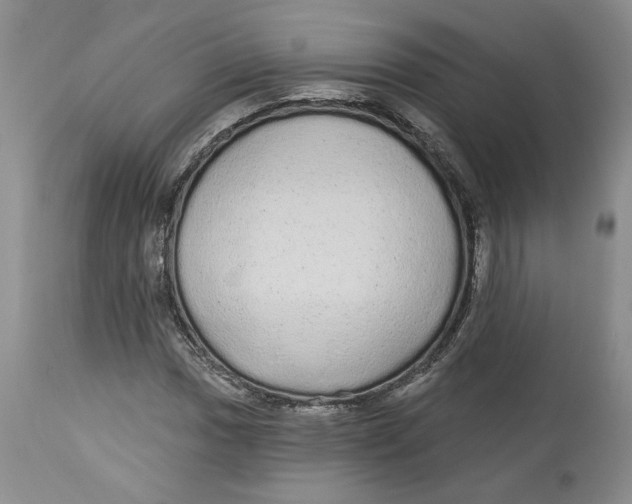 X0000113981017200910231703