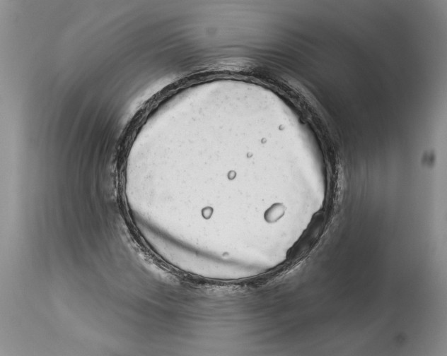 X0000113981018200910231703