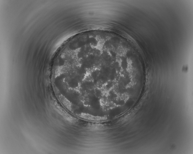 X0000113981019200910231703