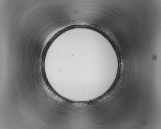 X0000113981020200910231703