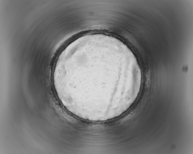 X0000113981021200910231703