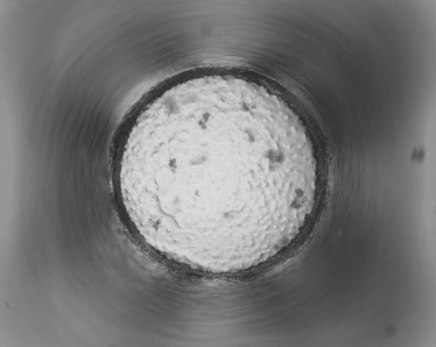 X0000113981022200910231703