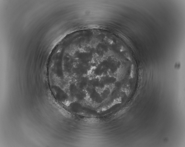 X0000113981023200910231703