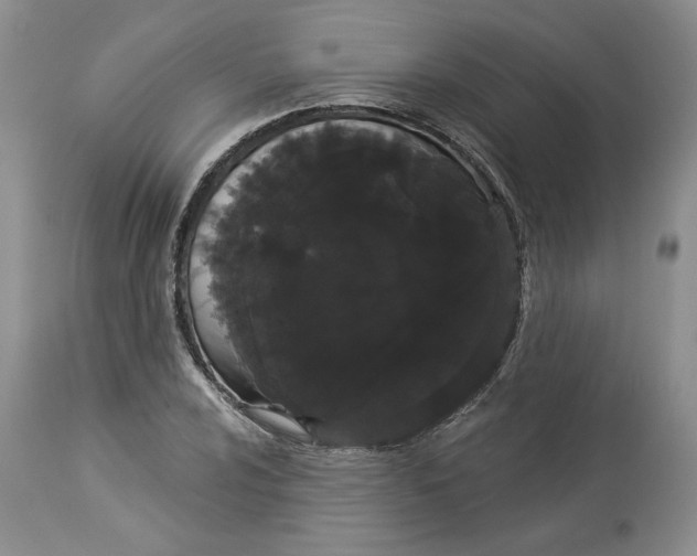 X0000113981024200910231703