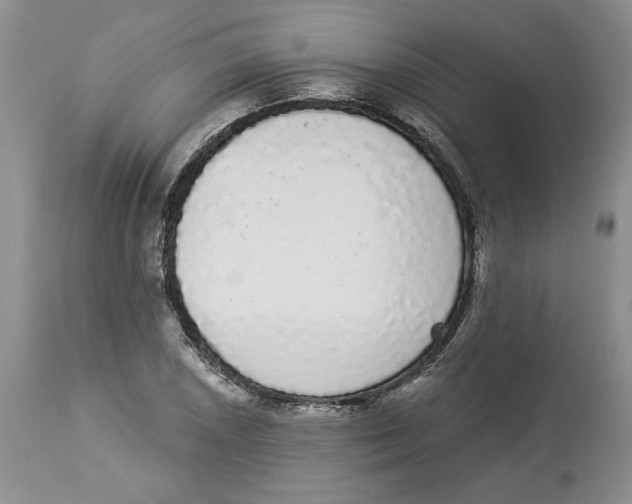 X0000113981026200910231703