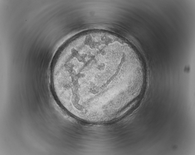 X0000113981028200910231703