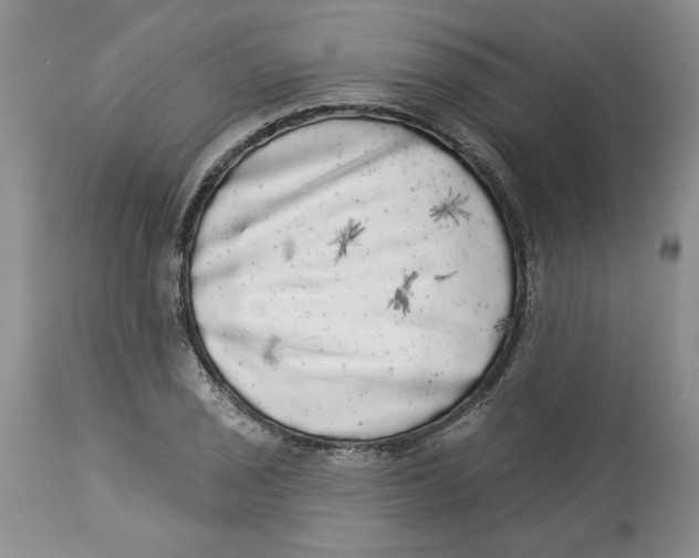 X0000113981029200910231703