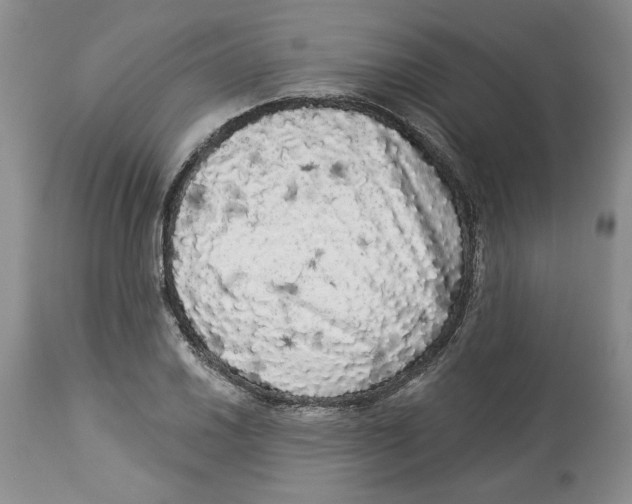 X0000113981030200910231703