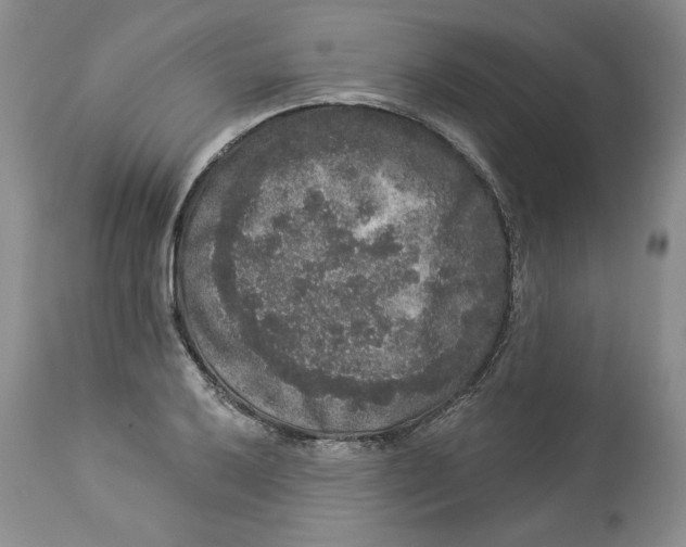 X0000113981032200910231703