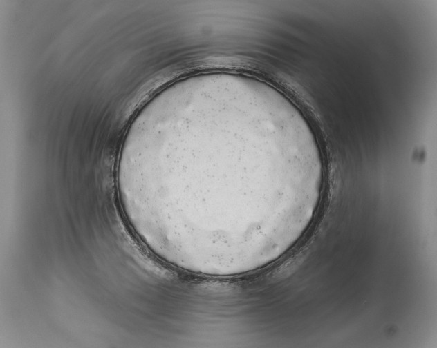 X0000113981033200910231703