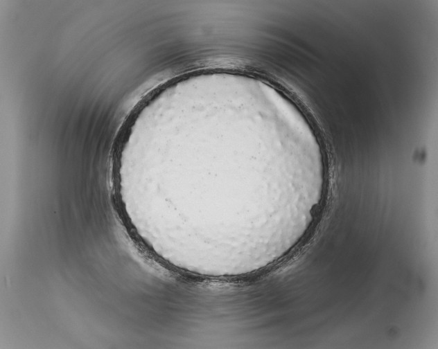 X0000113981034200910231703