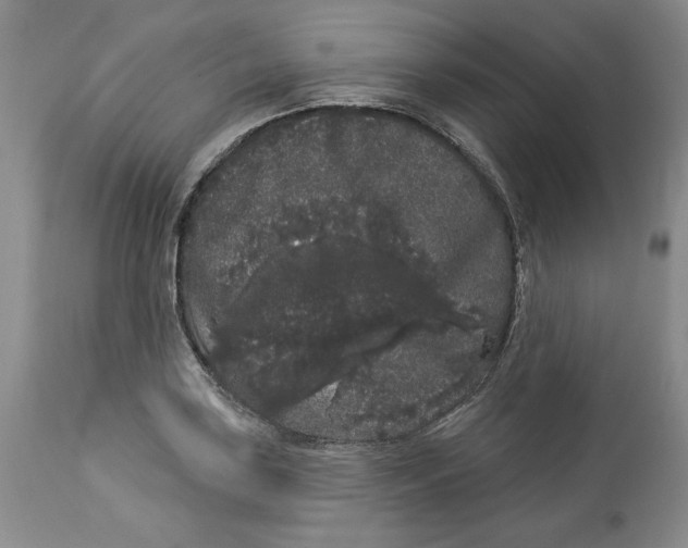 X0000113981035200910231703