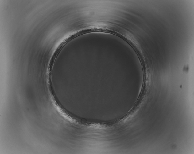 X0000113981037200910231703