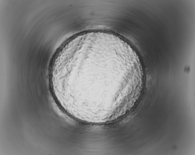 X0000113981038200910231703