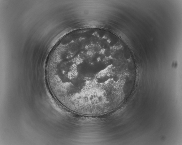 X0000113981039200910231703