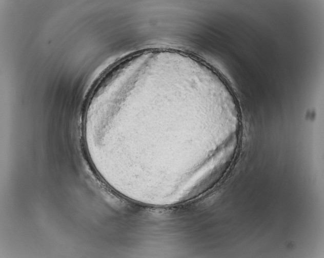 X0000113981040200910231704