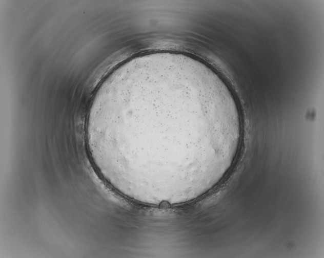 X0000113981041200910231704