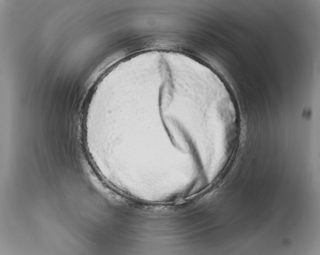 X0000113981042200910231704